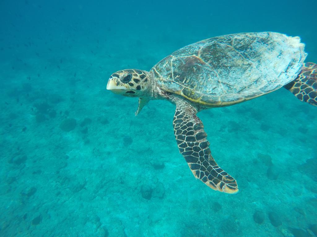 Maldives Seashine Ξενοδοχείο Huraa Εξωτερικό φωτογραφία