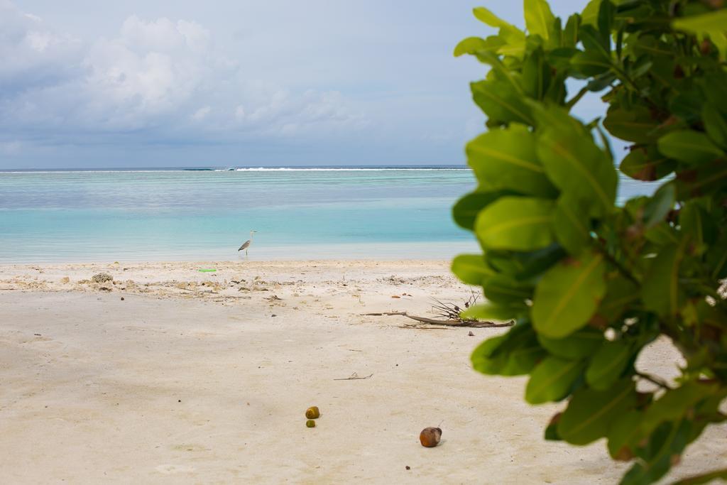 Maldives Seashine Ξενοδοχείο Huraa Εξωτερικό φωτογραφία