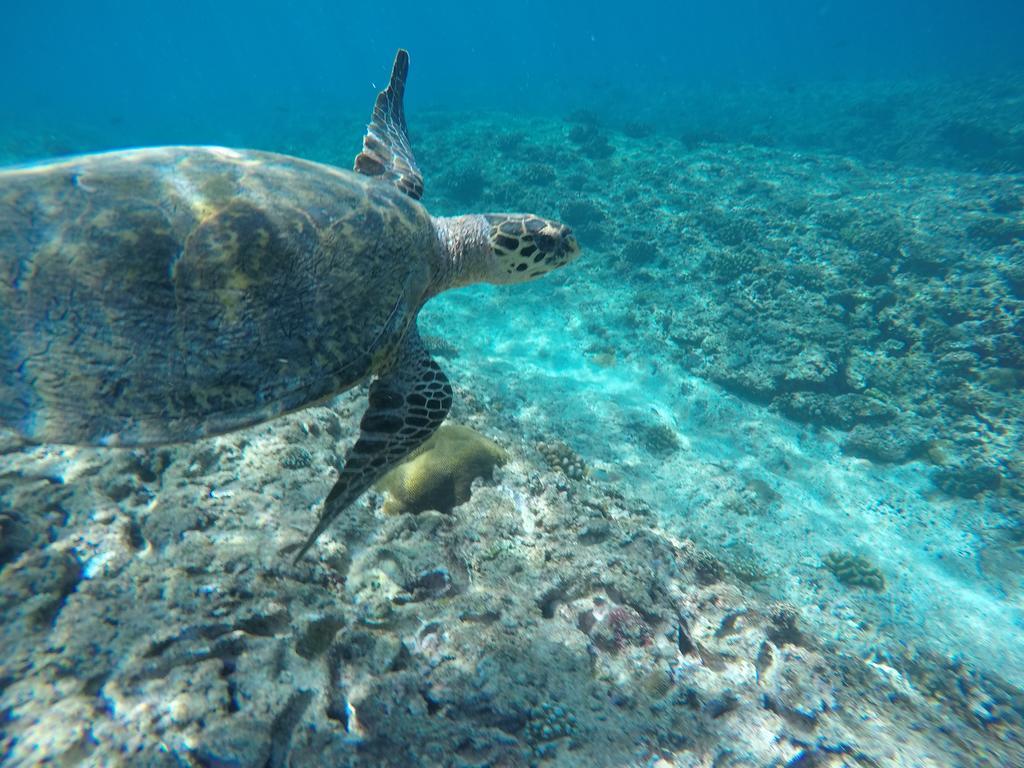 Maldives Seashine Ξενοδοχείο Huraa Εξωτερικό φωτογραφία