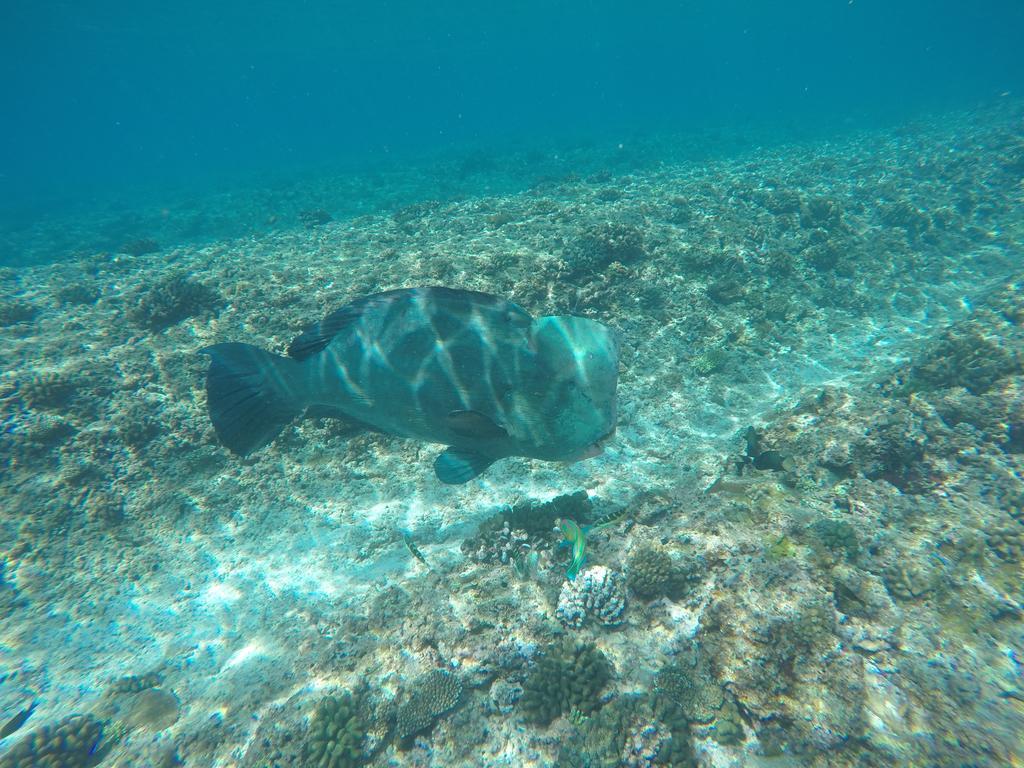 Maldives Seashine Ξενοδοχείο Huraa Εξωτερικό φωτογραφία