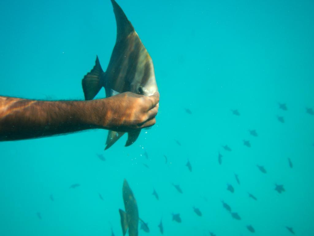 Maldives Seashine Ξενοδοχείο Huraa Εξωτερικό φωτογραφία